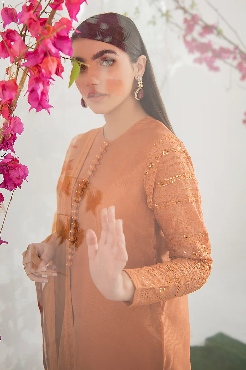 BURNT GLAZE-2PC (SHIRT & DUPATTA) - Image 7