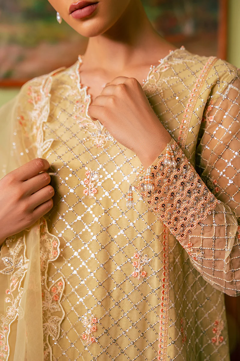 CANARY BUTTER-4 PIECE EMBROIDERED ORGANZA SUIT - Image 3