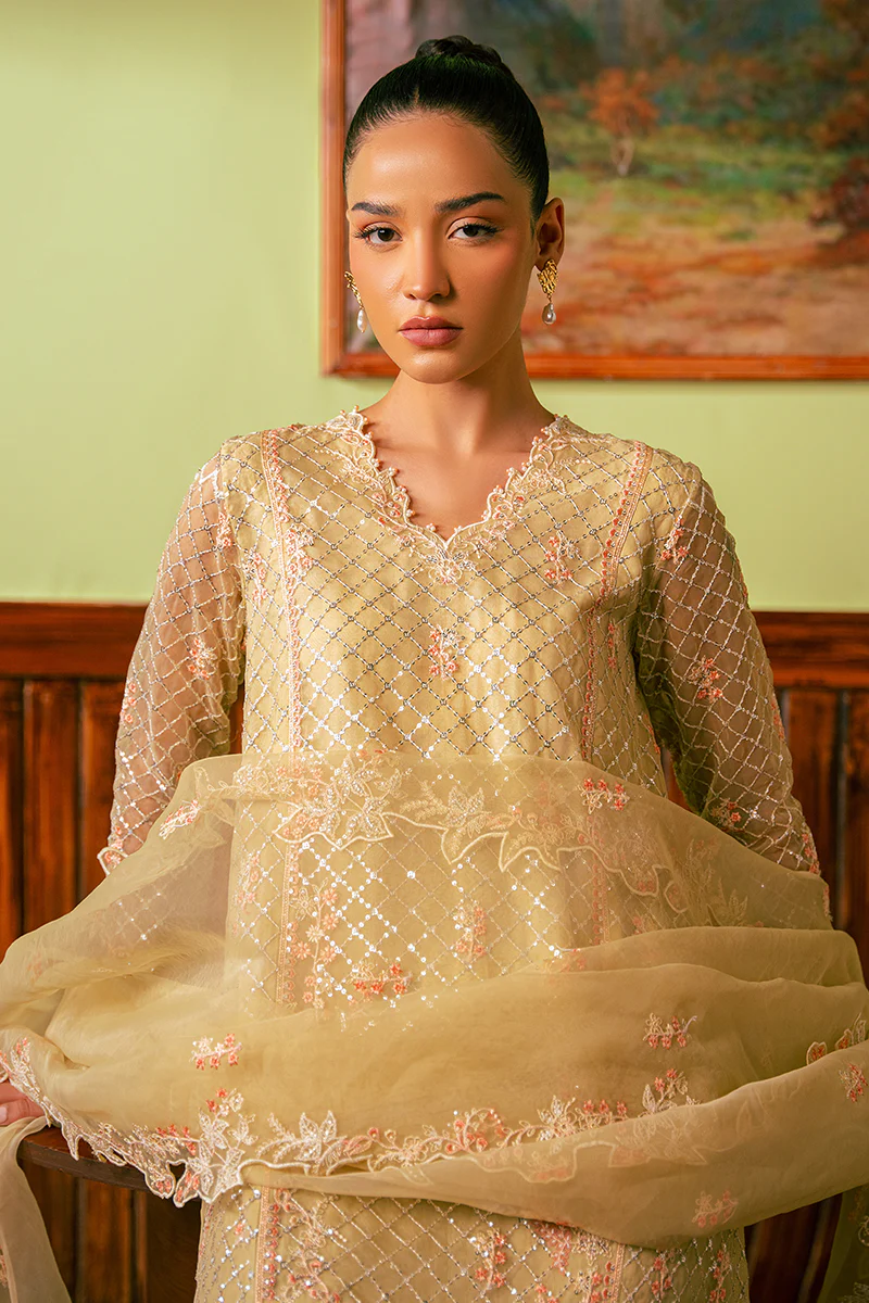 CANARY BUTTER-4 PIECE EMBROIDERED ORGANZA SUIT - Image 6