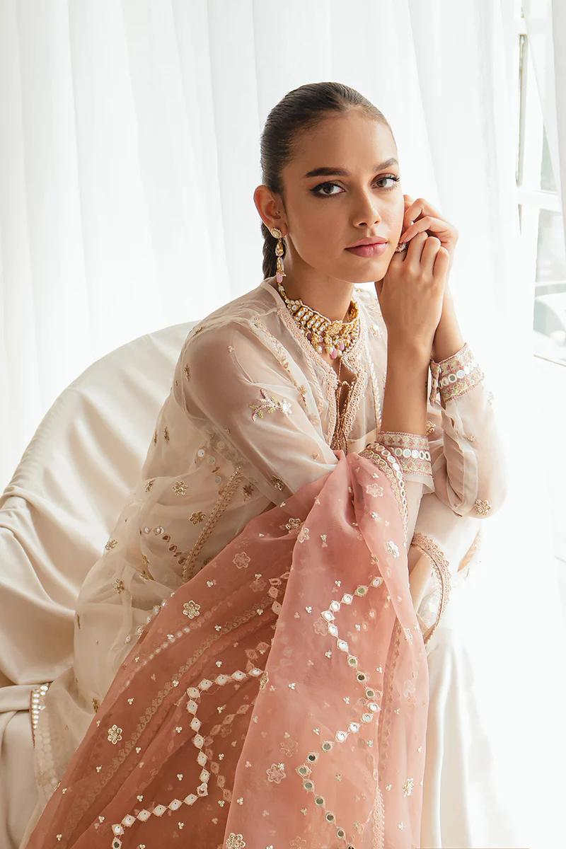 DREAMY TINT-4PC ORGANZA EMBROIDERED SUIT - Image 6