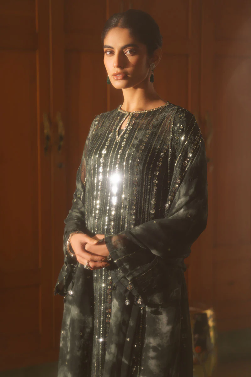 FOREST ENVY-4 PIECE EMBROIDERED CHIFFON SUIT - Image 6