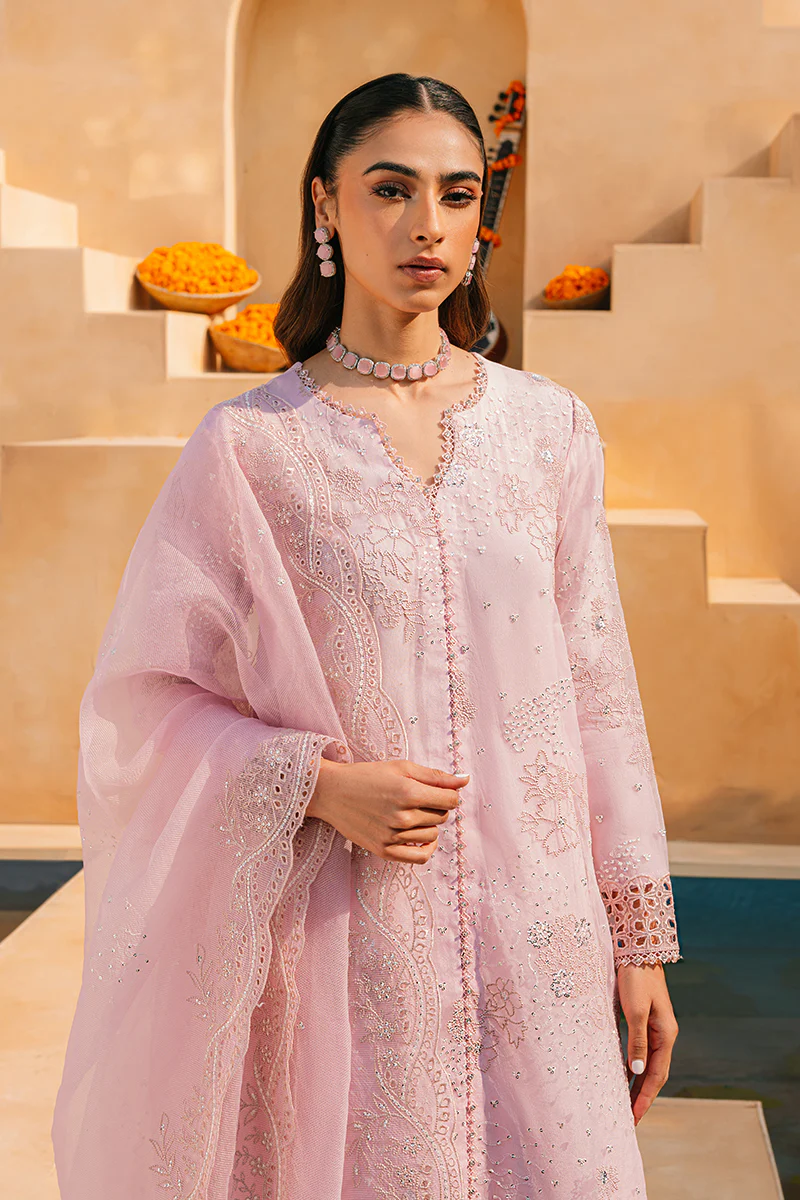 MUTED PINK-2 PIECE ORGANZA EMBROIDERED SUIT - Image 3