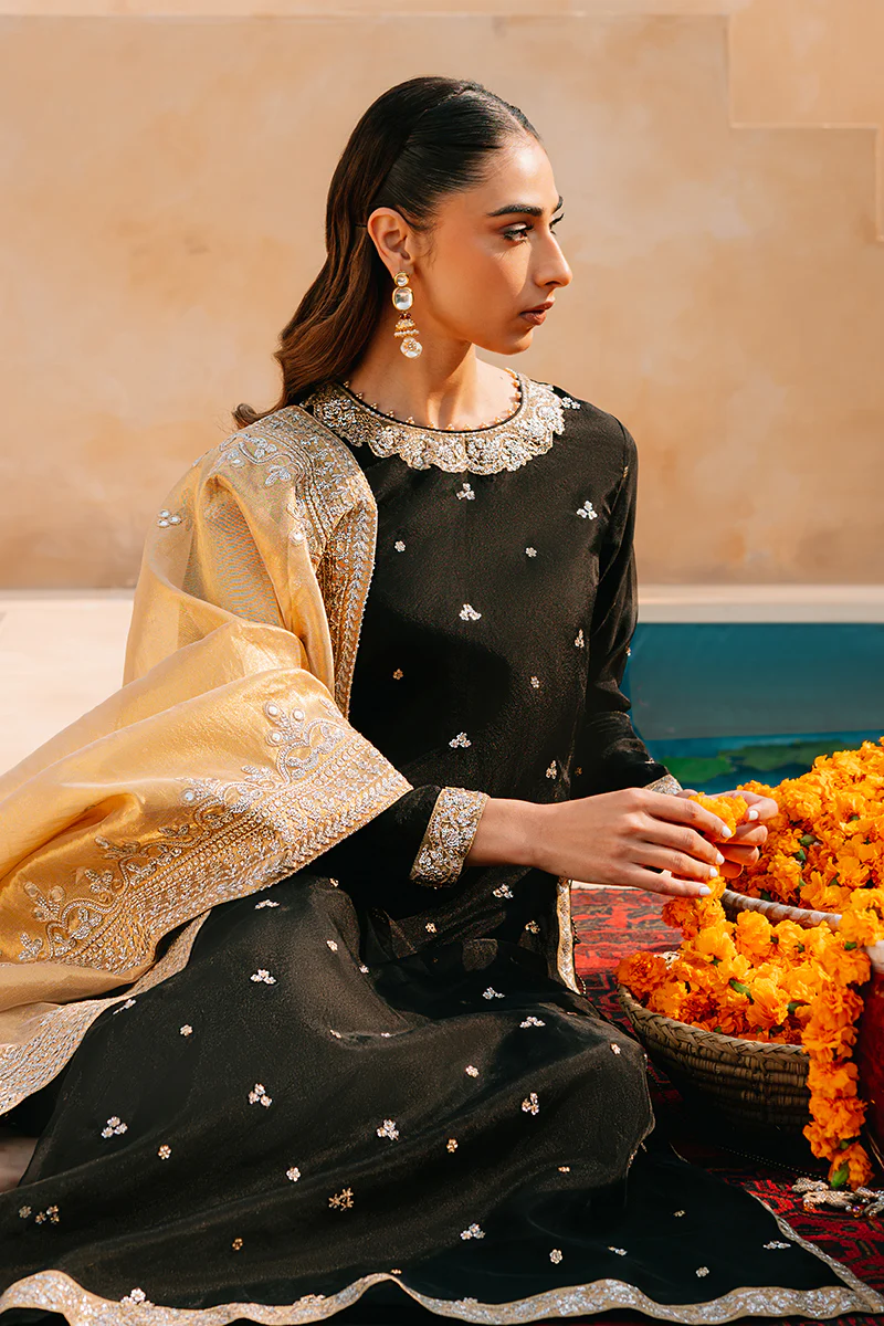 RAVEN ETHEREAL-2 PIECE ORGANZA EMBROIDERED SUIT - Image 5