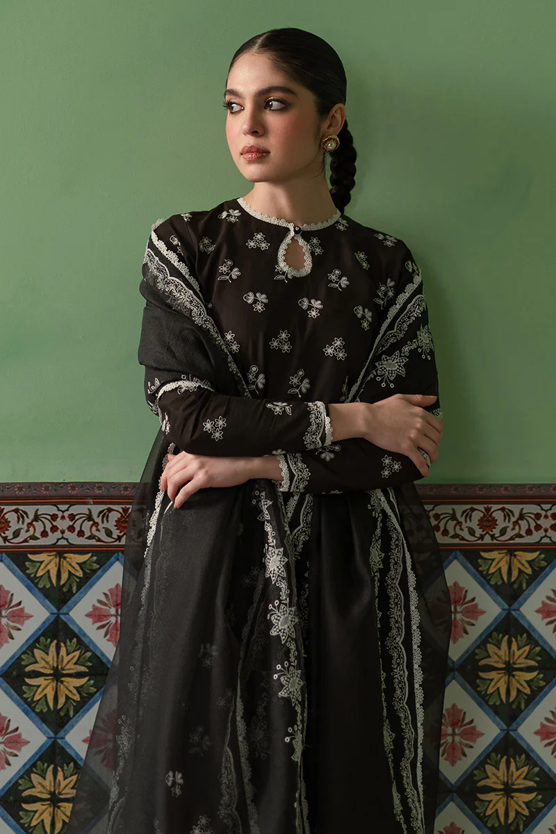 DUSKY SABLE-3 PIECE CHIKANKARI SUIT - Image 6