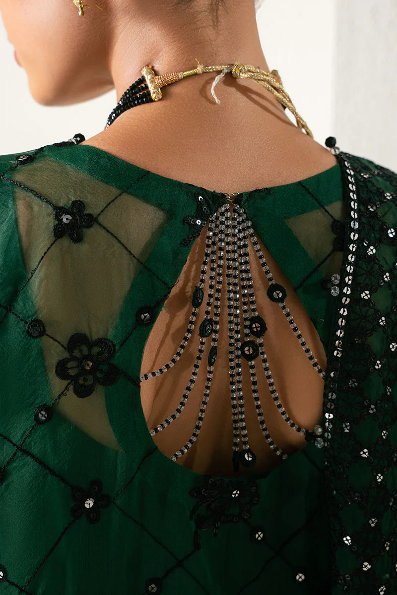 EMERALD DREAM-4PC ORGANZA EMBROIDERED SUIT - Image 2