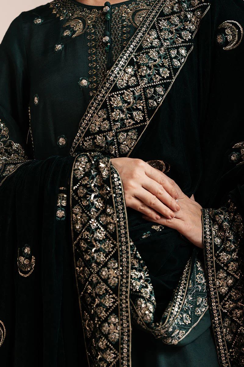EMERALD GRACE-3 PIECE EMBROIDERED ORGANZA SUIT - Image 5