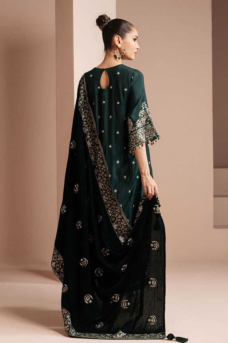 EMERALD GRACE-3 PIECE EMBROIDERED ORGANZA SUIT - Image 8