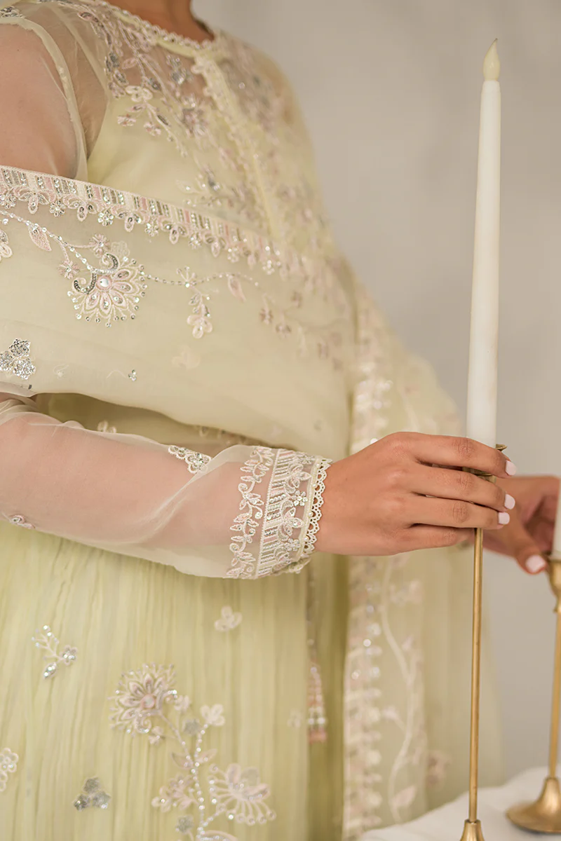 PEARL MIST-4 PIECE EMBROIDERED ORGANZA SUIT - Image 2
