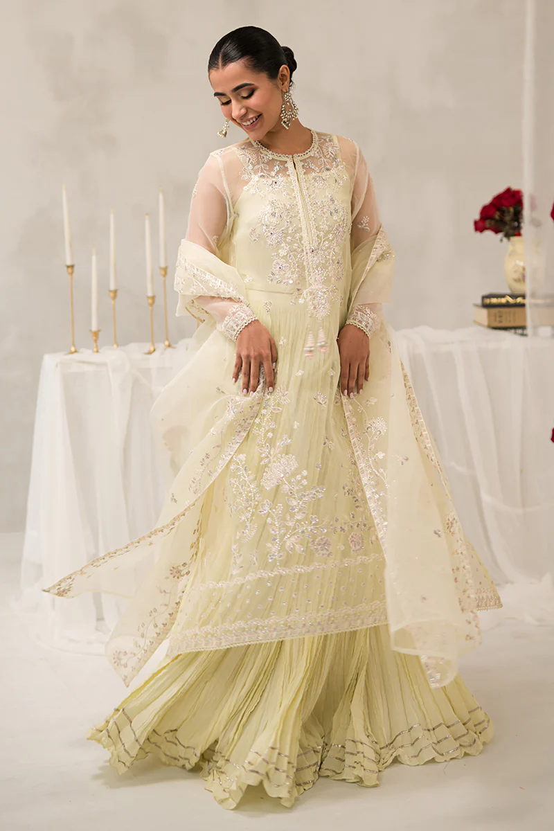 PEARL MIST-4 PIECE EMBROIDERED ORGANZA SUIT - Image 8