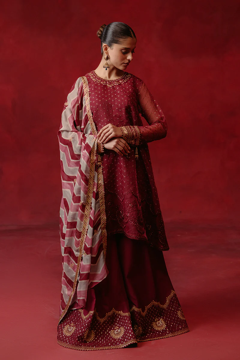 RED OCHRE-4 PIECE ORGANZA EMBROIDERED SUIT - Image 4