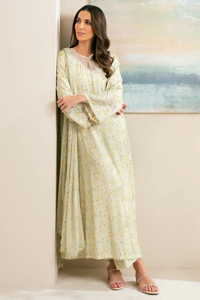 SOFT FERN-2PC (SHIRT & DUPATTA) - Image 3