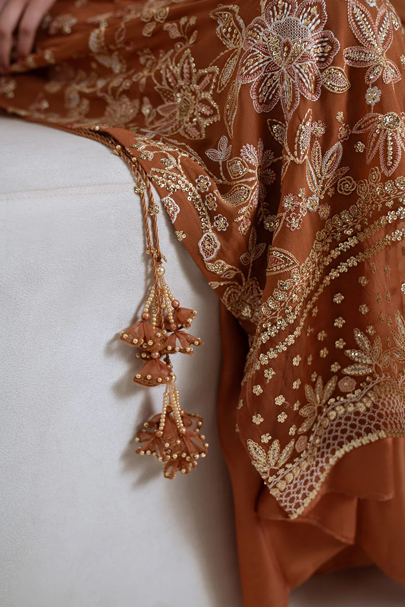 RUST EMBER-4PC CHIFFON EMBROIDERED SUIT - Image 6