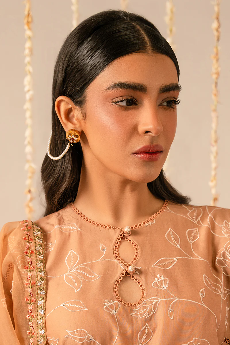 RUSTIC BROWN-3 PIECE EMBROIDERED LAWN SUIT - Image 3