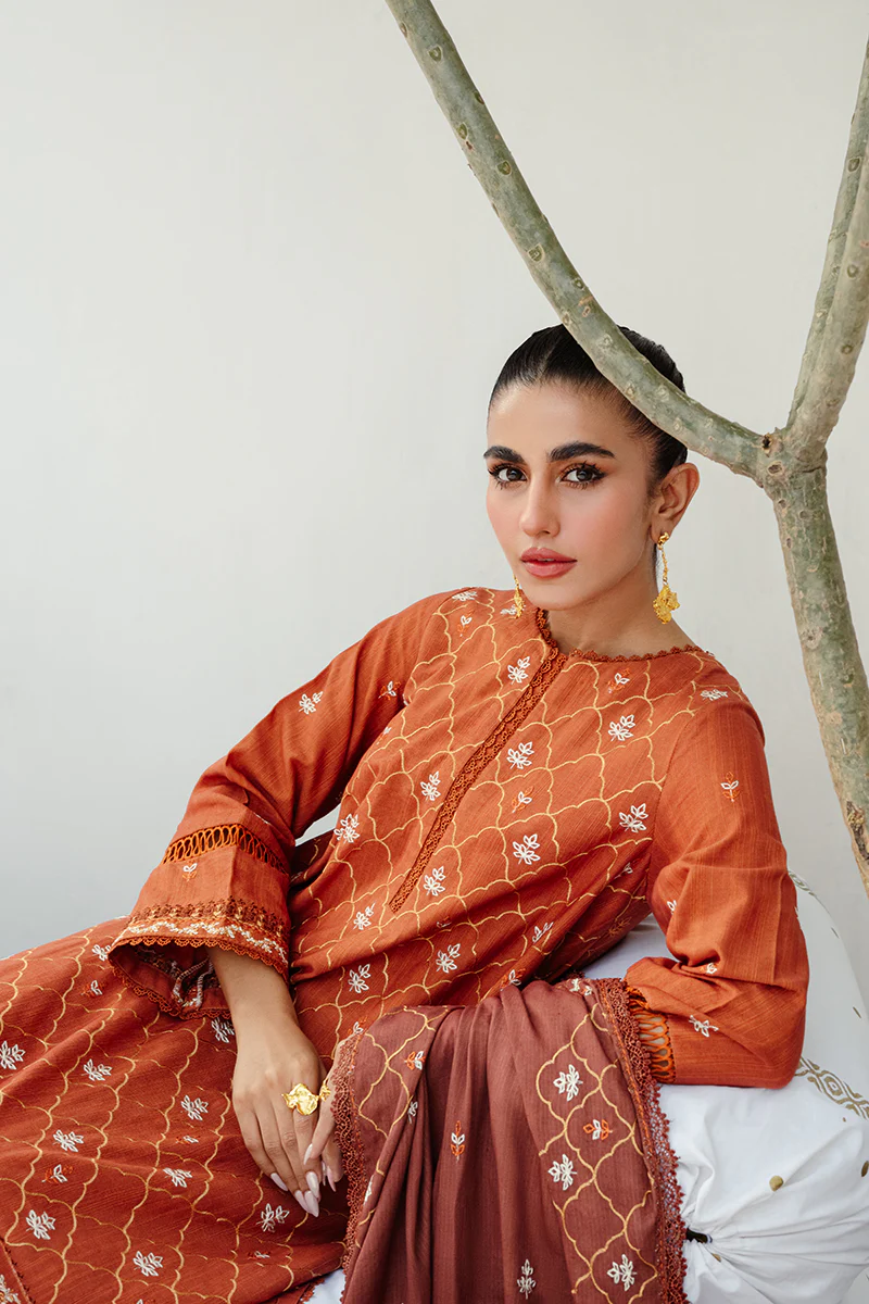TAN HUES-3PC KHADDAR EMBROIDERED SUIT - Image 4